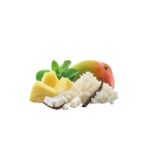 Tropical Rice Dessert - Image 2