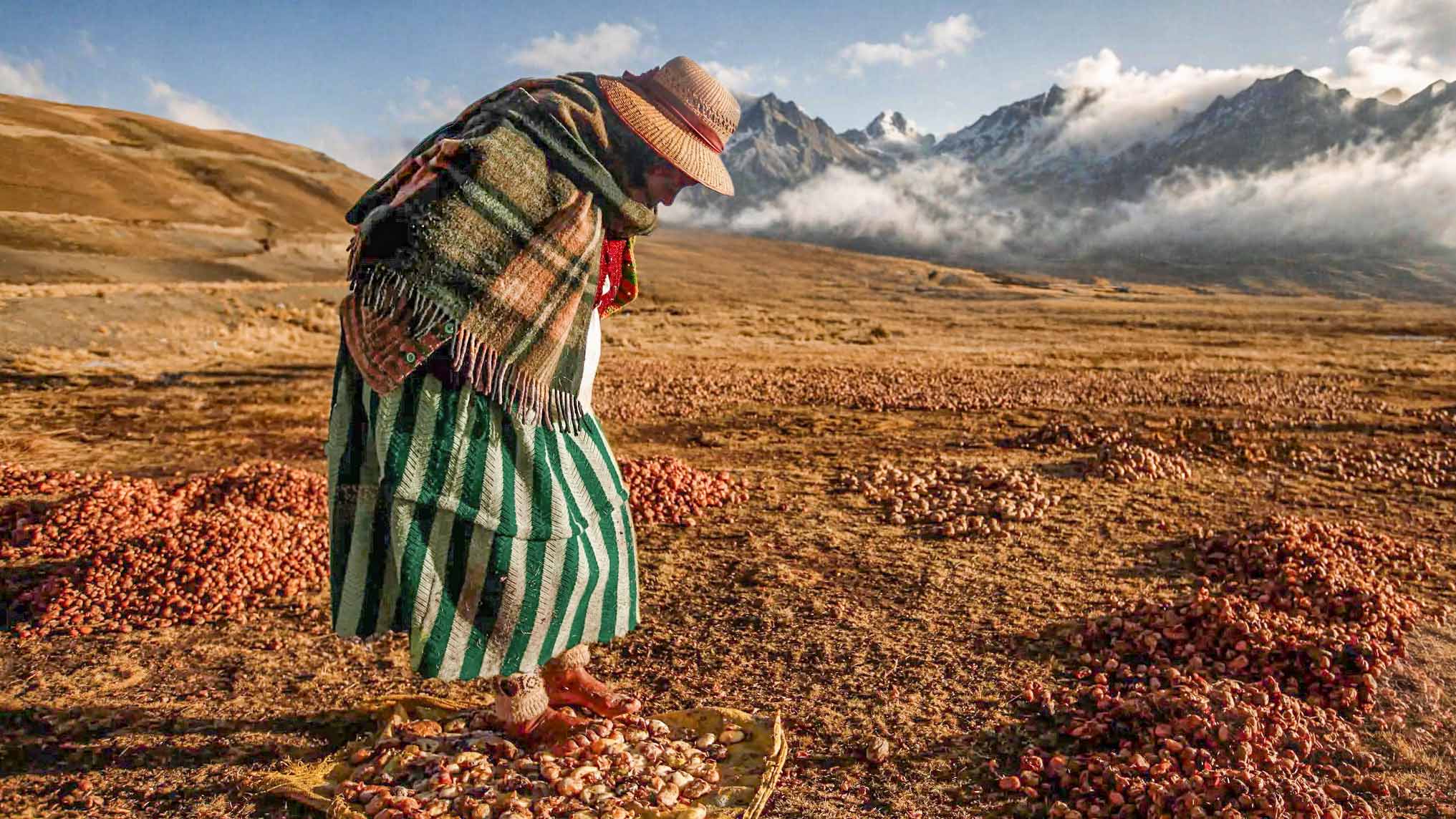 Agricultural terraces in the Andes, where natural conditions resembled modern freeze-drying.